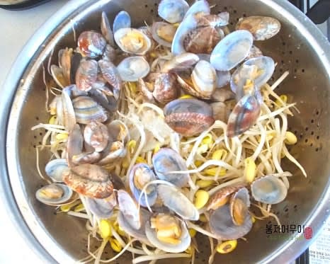 데친 콩나물과 바지락의 물기를 제거하고 준비해 둡니다.