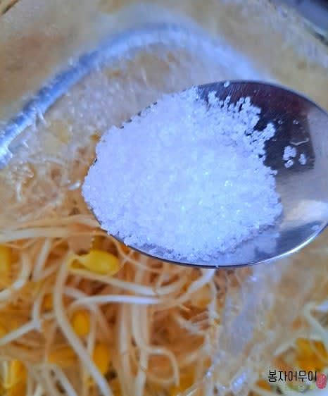 끓는 물에 콩나물을 넣고 소금 1스푼을 추가한 후, 약 3분간 데쳐 줍니다.