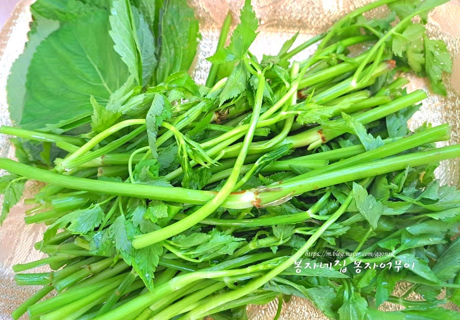 미나리와 깻잎은 식초물에 10분 정도 담가두었다가 흐르는 물에 헹구고 뿌리 부분과 지저분한 것도 잘라내고 시든 것은 잘라서 버려주세요.