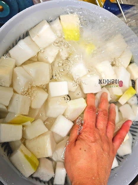 절여진 무를 3~4차례 깨끗이 헹구어 물기를 뺍니다.