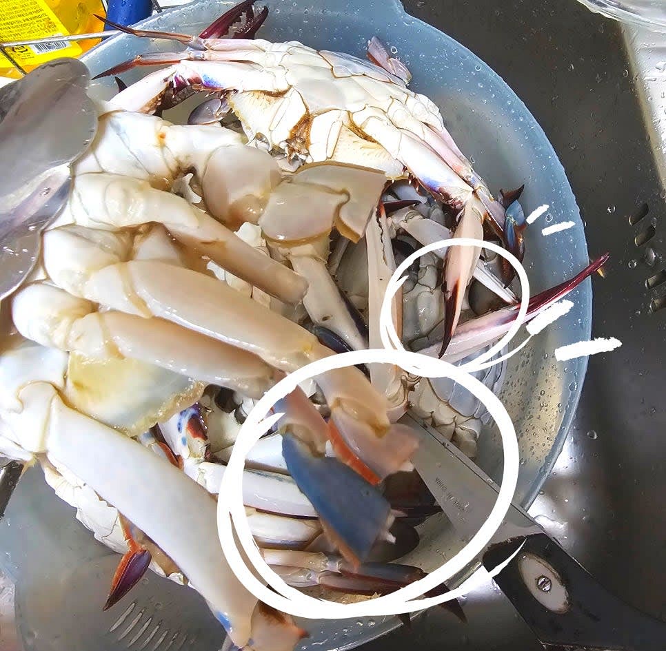 꽃게를 잘 손질합니다. 뾰족한 부분과 다리 아래 필요 없는 부분을 자르고 깨끗이 세척합니다. 소주 200ml 한컵을 골고루 먼저 뿌리고 간장 6컵을 부어줍니다. 20분 정도 담근 후 간장은 따라내서 간장물을 끓입니다.