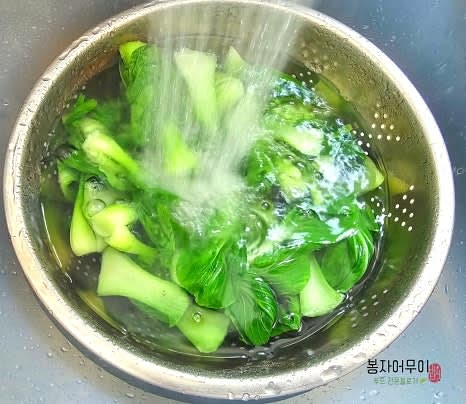 청경채를 세척하고 식초를 넣은 물에 담갔다가 흐르는 물에 깨끗이 씻어 준비합니다.