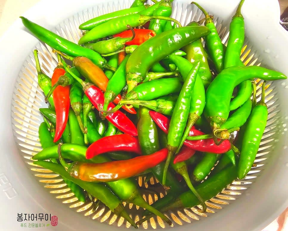 고추 꼭지를 따고 깨끗이 세척한 후 물기를 말립니다.