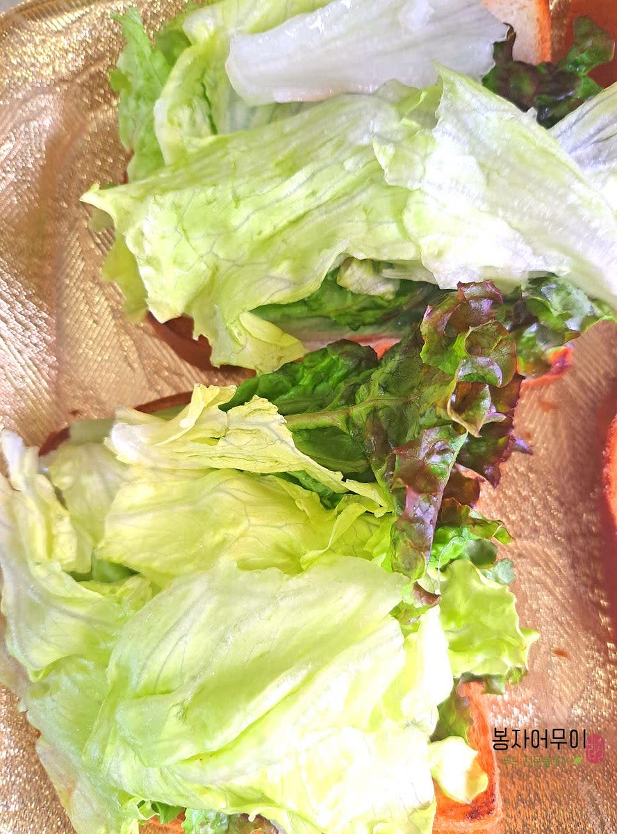 상추와 양상추를 깨끗이 씻고 물기를 제거한 뒤 적당한 크기로 찢어줍니다.