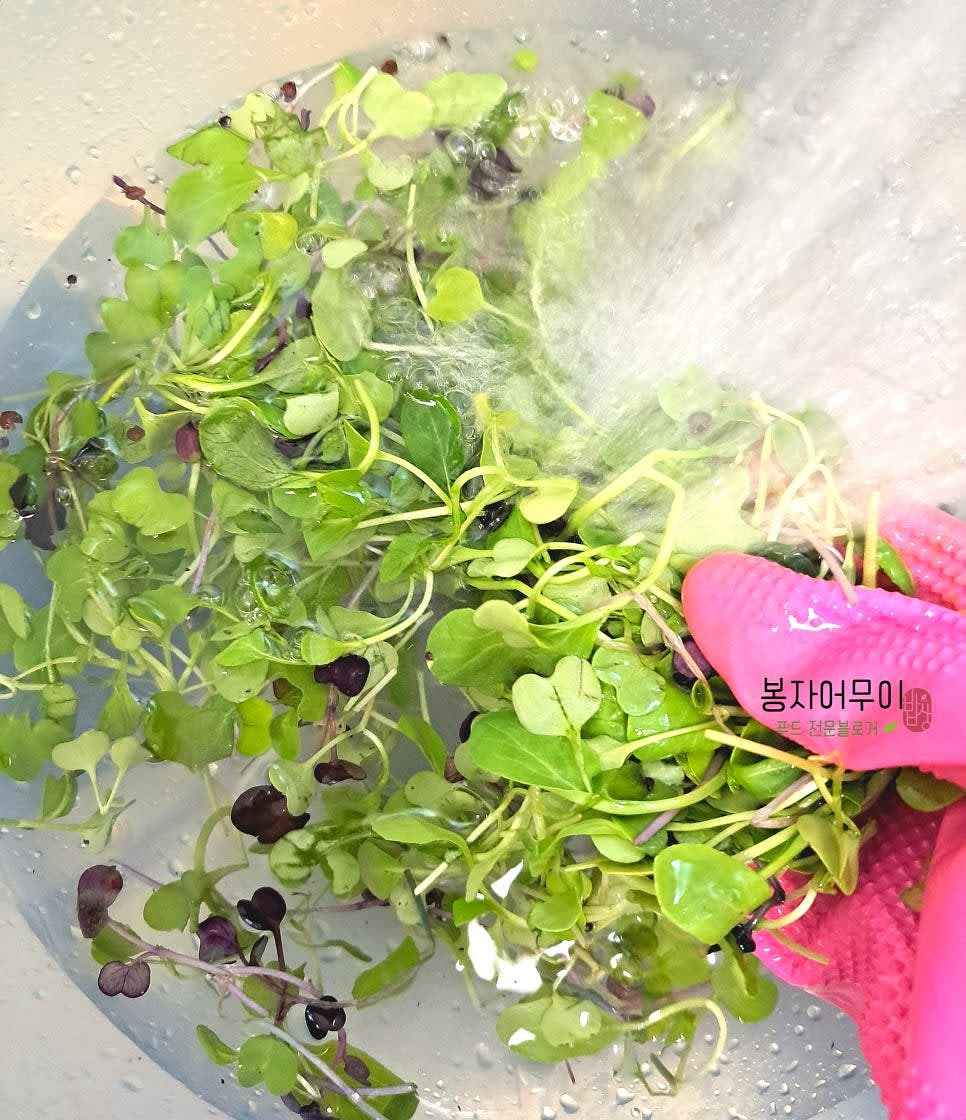 새싹은 흐르는 물에 깨끗이 씻어서 물기를 털어줍니다.