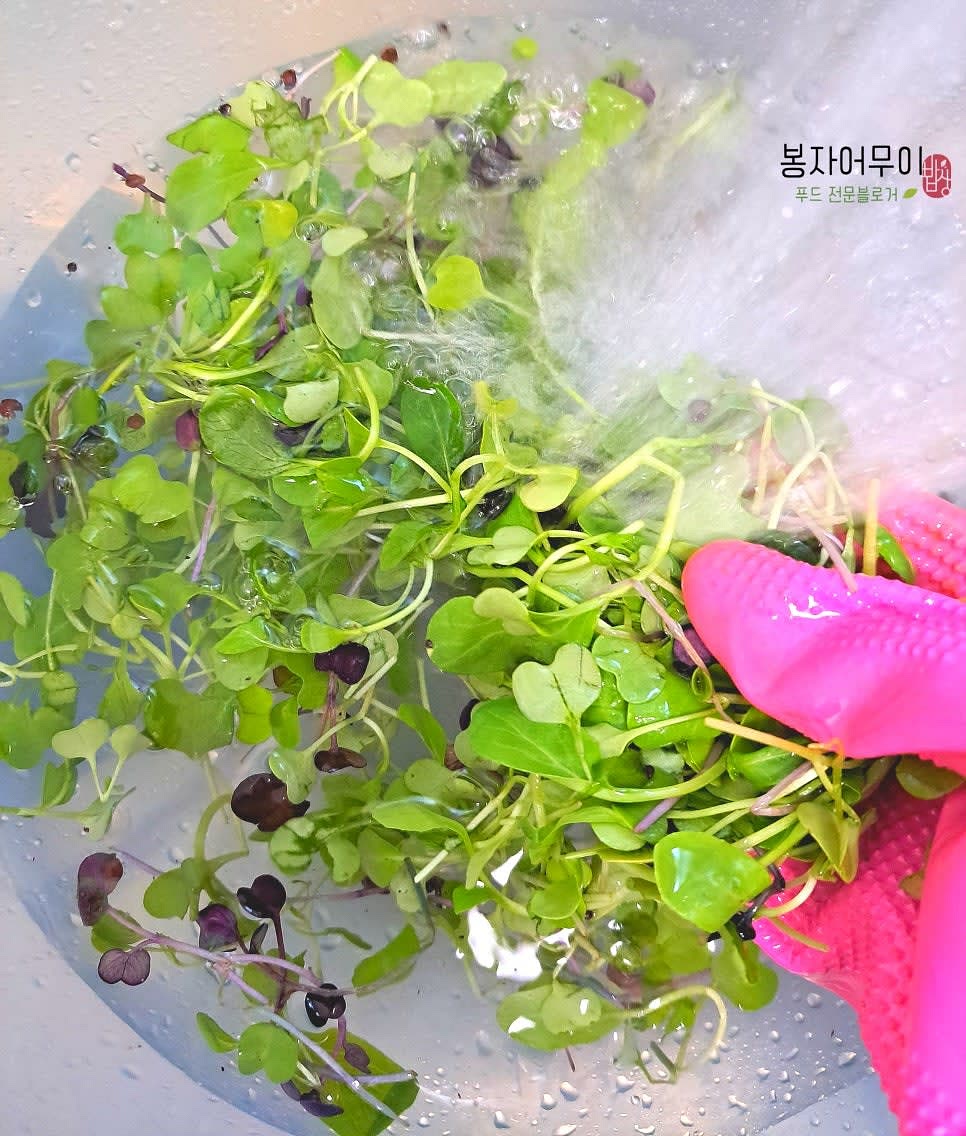 새싹채소와 방울토마토를 깨끗하게 여러 번 씻어주세요.