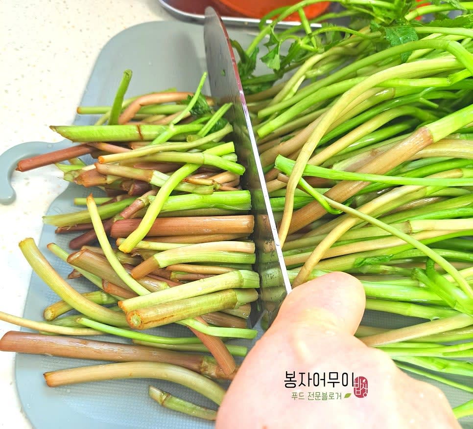 10분 후 흐르는 물에 미나리를 세척하고 적당한 크기로 잘라 준비합니다.
