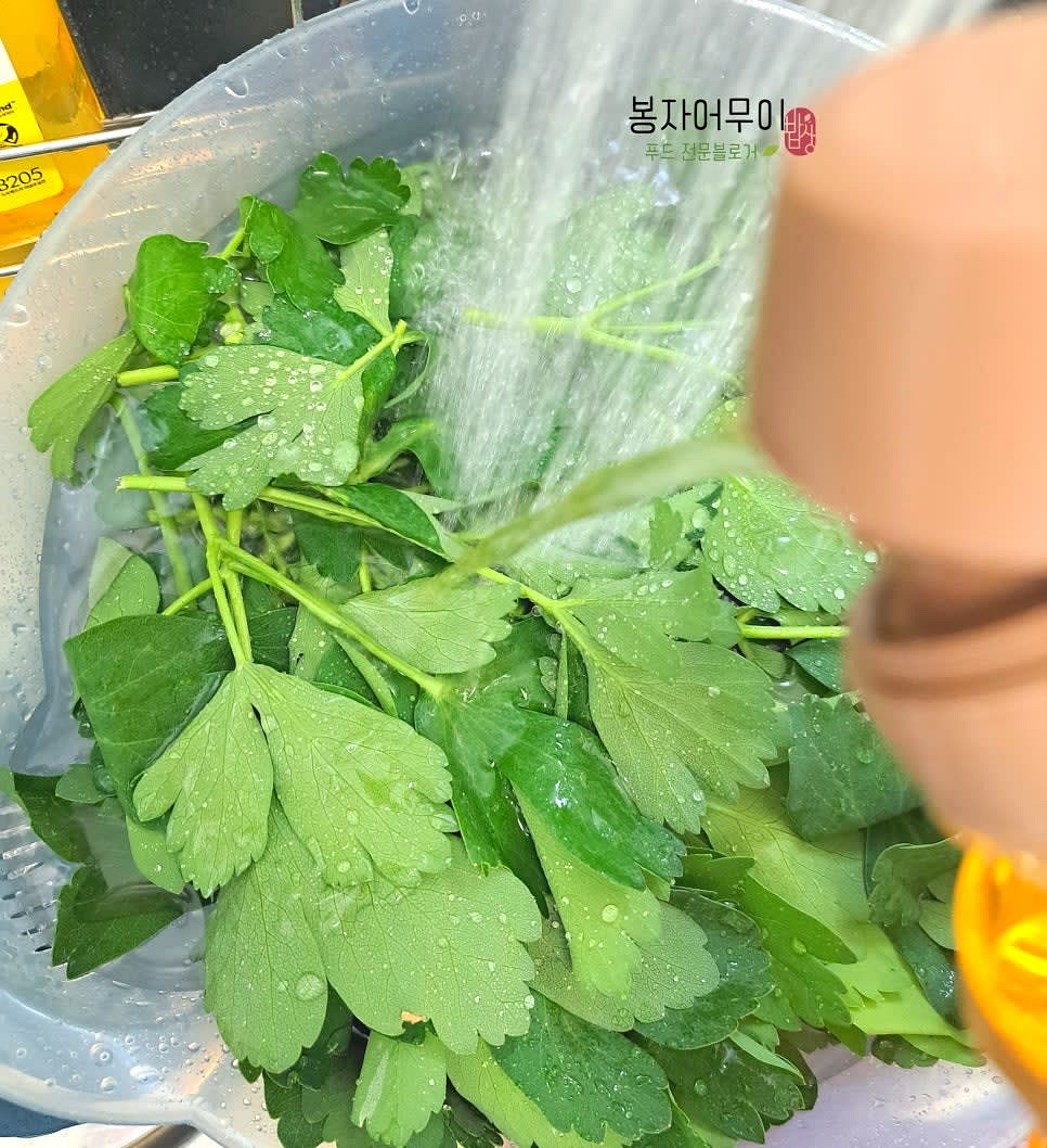 방풍나물을 식초물에 10분간 담가 깨끗이 세척합니다.