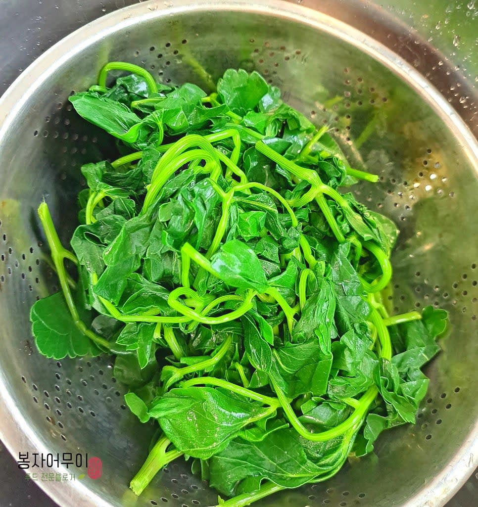 데친 방풍나물을 체에 밭쳐 물기를 뺍니다.
