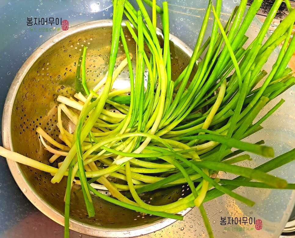 쪽파를 지지부분에서 잘라 내고 다듬어 세척합니다.