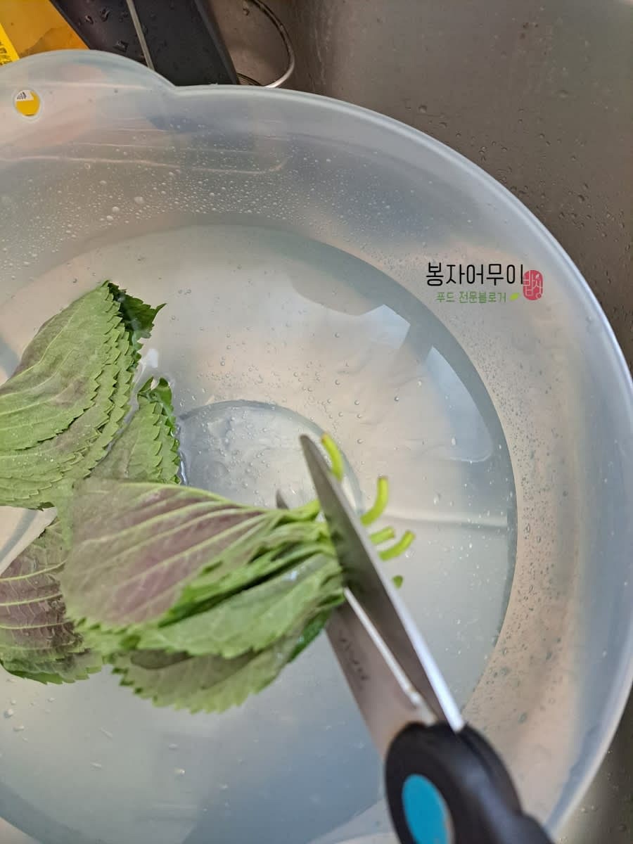 깻잎 한 묶음을 꼭지를 따고 깨끗이 세척합니다. 물기를 제거하고 말려주세요.