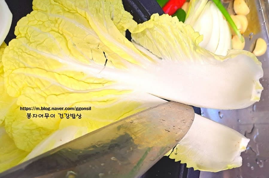 배추를 잘 손질하여줍니다.