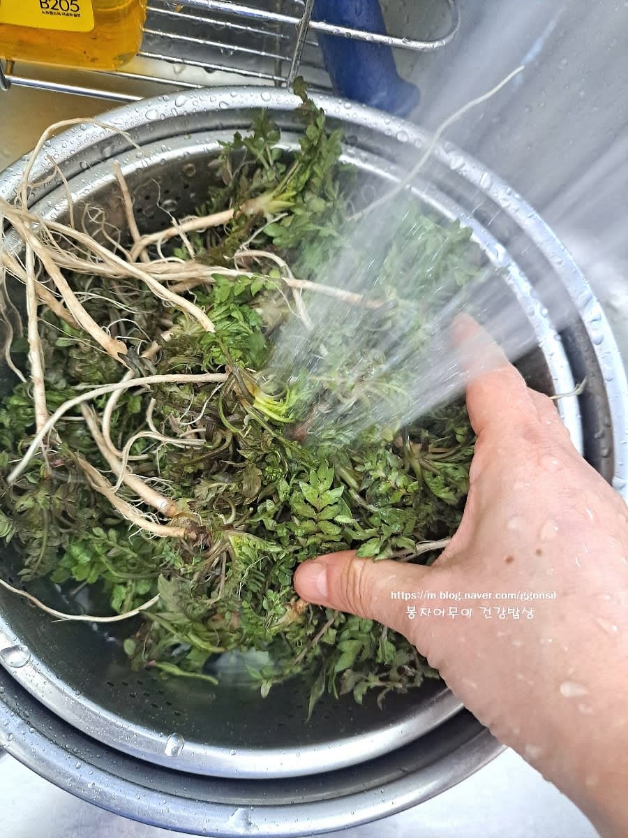 냉이를 식초 2스푼과 물에 담가 10분간 담가 불려줍니다