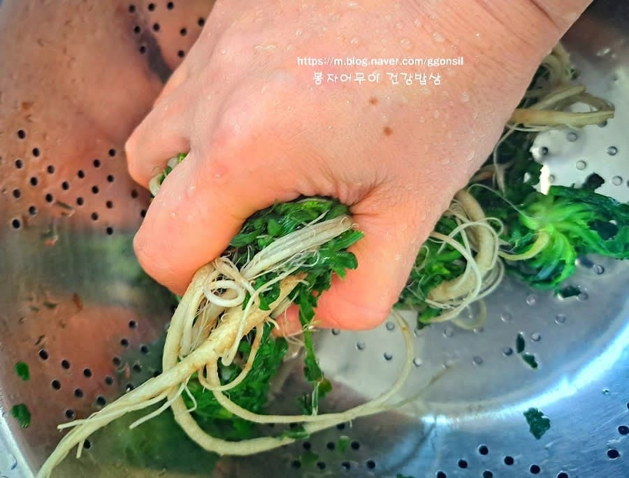 데친 냉이를 찬물에 여러 번 헹구고 물기를 꼭 짜줍니다