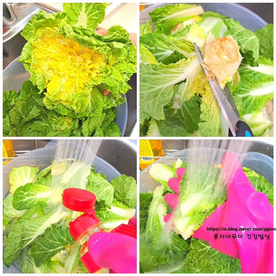 봄동을 세척용 식초 2스푼을 넣고 10분간 담갔다가 흐르는 물에 여러 번 세척해 주세요.