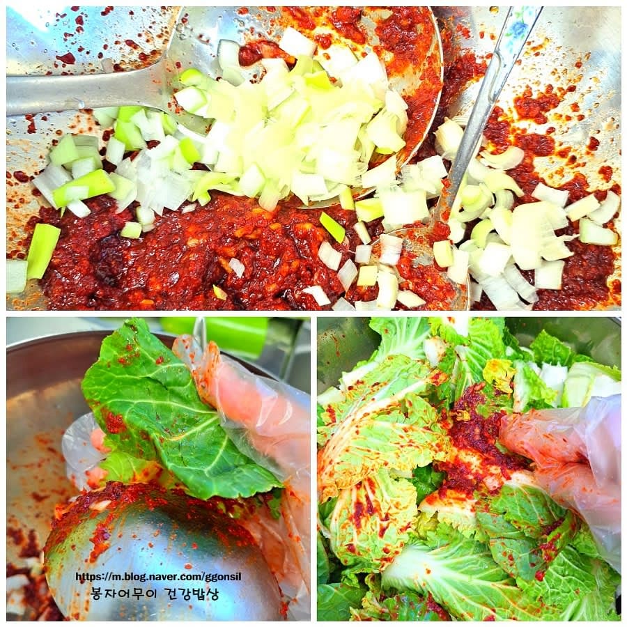 물기가 제거된 봄동에 양념장을 넣고 잘 버무려줍니다.