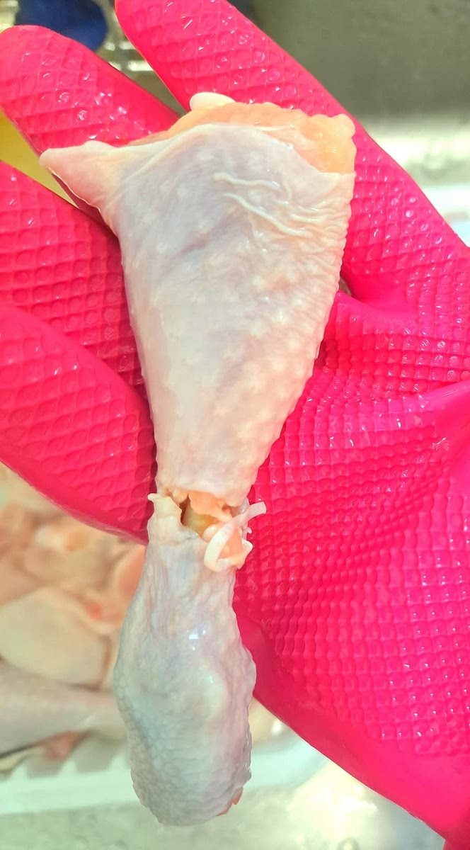 닭의 날개 끝부분은 잘라내고, 다리의 심줄 부분에 칼집을 내줍니다.