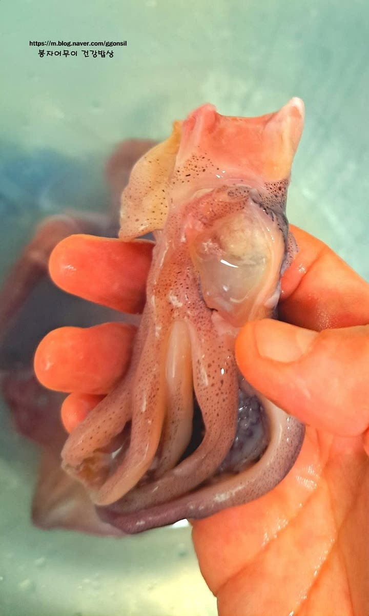 오징어 눈알을 빼고 껍질을 벗겨 깨끗하게 씻어 준비합니다.