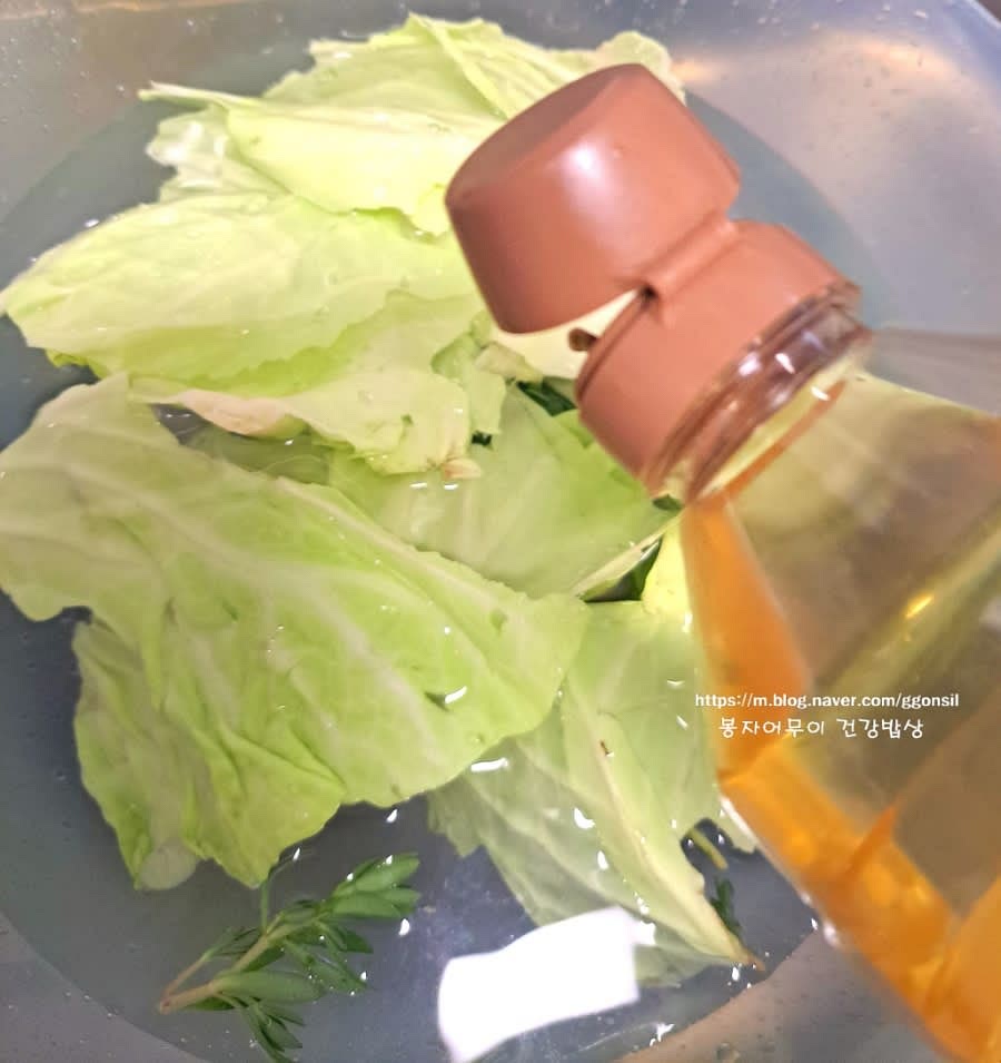 양배추와 돈나물을 식초물에 담갔다가 흐르는 물에 세척하여 준비합니다.
