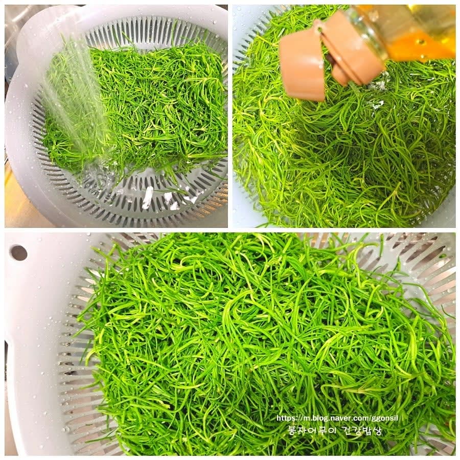 세발나물을 깨끗이 다듬고 세척한 뒤 물기를 제거합니다.