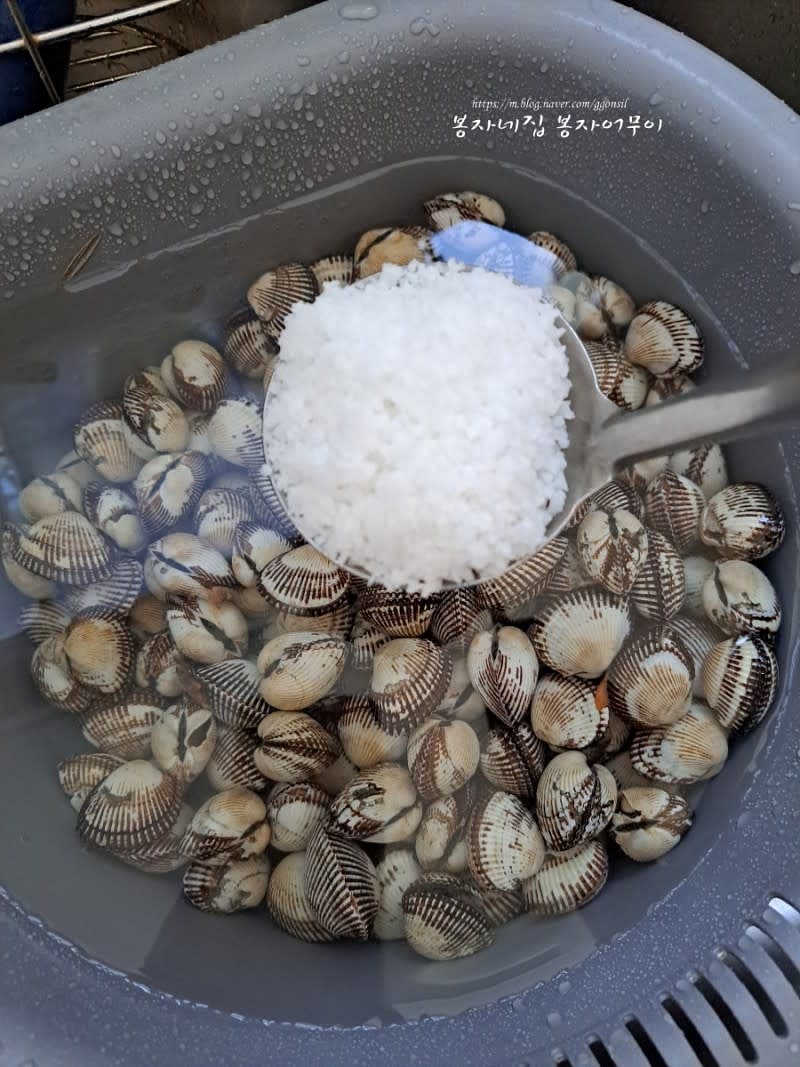 꼬막을 깨끗이 씻고 소금 한 국자를 넣어 섞어줍니다.