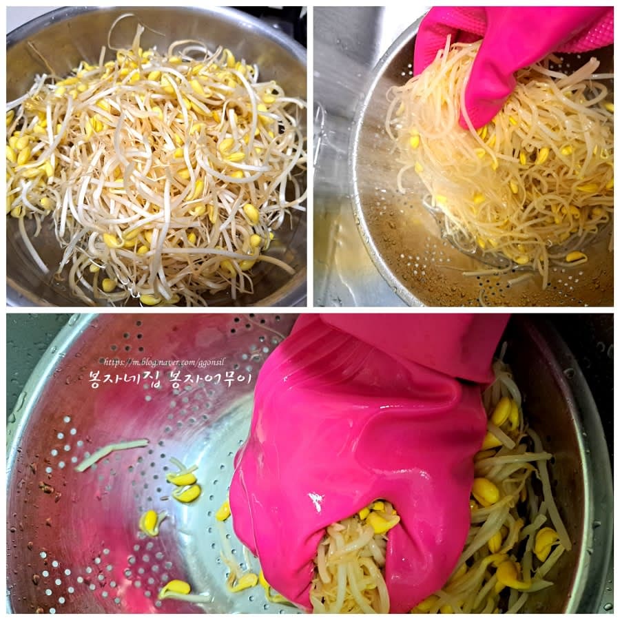 콩나물을 깨끗이 씻고 소금 한 스푼을 넣어 살짝 삶아줍니다. 물기를 제거합니다.