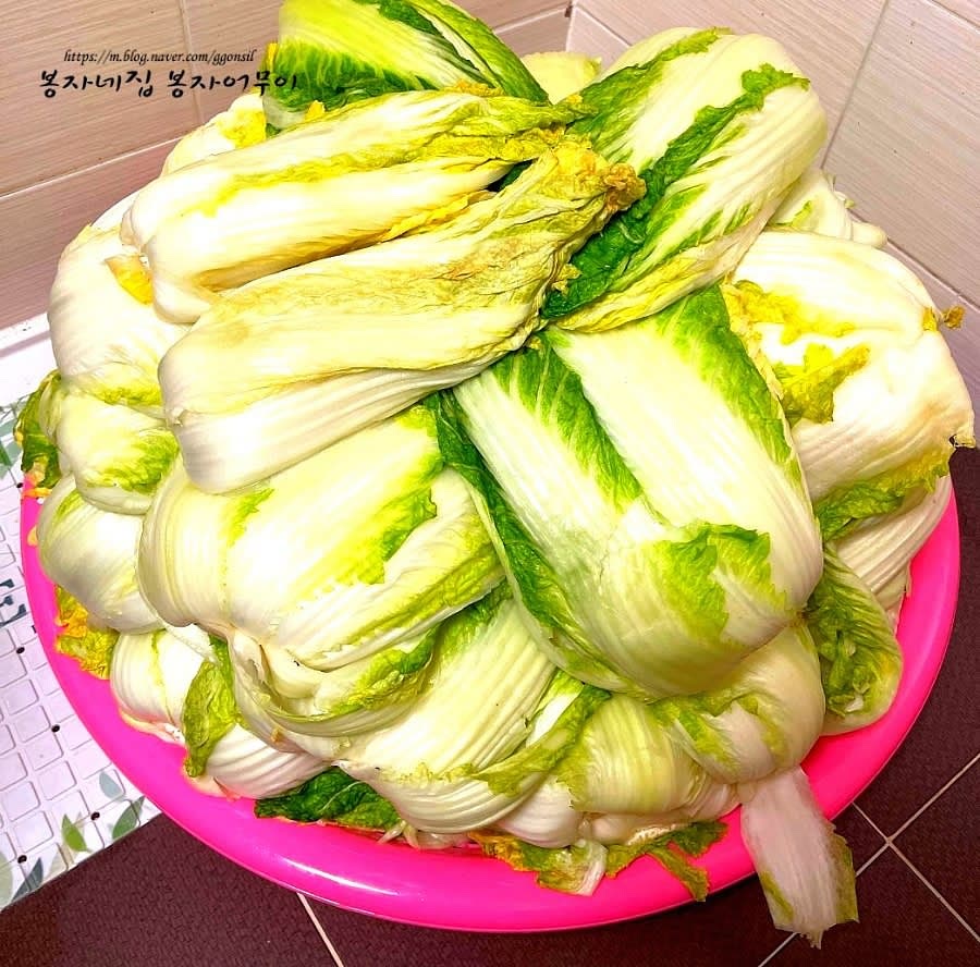 절인 배추를 깨끗이 헹궈 물기를 제거합니다.