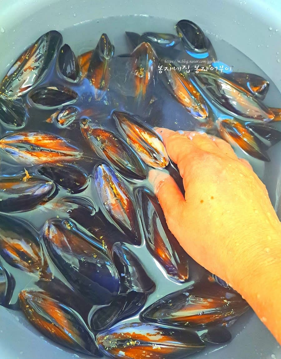 손질한 홍합과 양파, 느타리버섯, 마늘, 생강을 준비합니다.