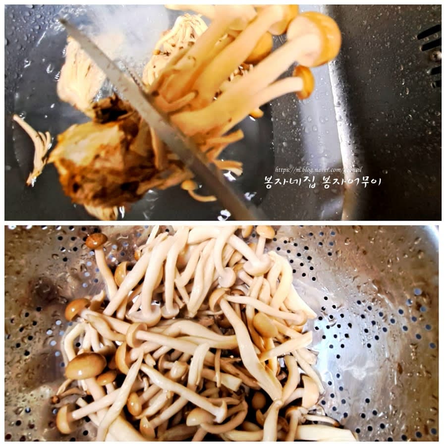 밑둥을 자른 버섯을 깨끗하게 헹구어 물기를 뺍니다.