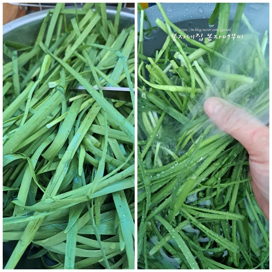 부추를 다듬고 깨끗하게 씻어 준비합니다.