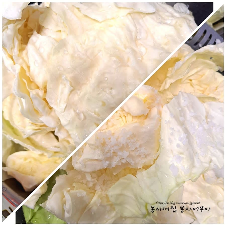양배추를 해체하여 씻은 다음 굵은 소금을 뿌려 절여주세요. 절이는 동안 물기가 빠질 수 있도록 체에 받쳐 둡니다.