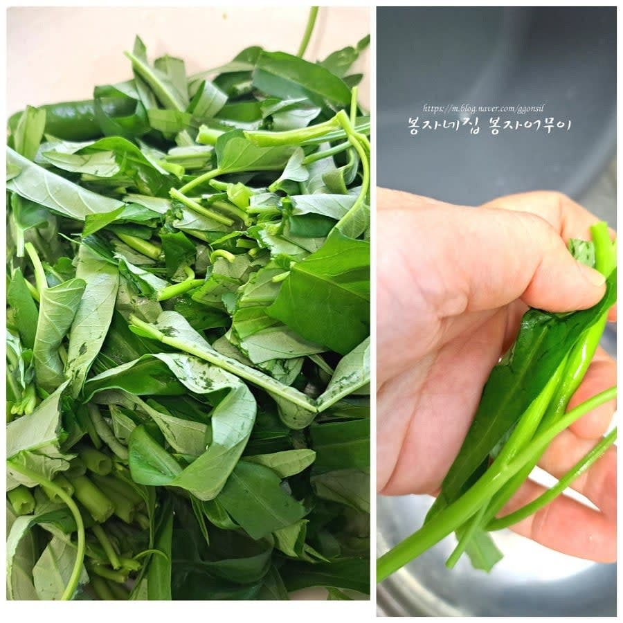 공심채를 깨끗이 씻어 물기를 제거하고 먹기 좋은 크기로 자릅니다.