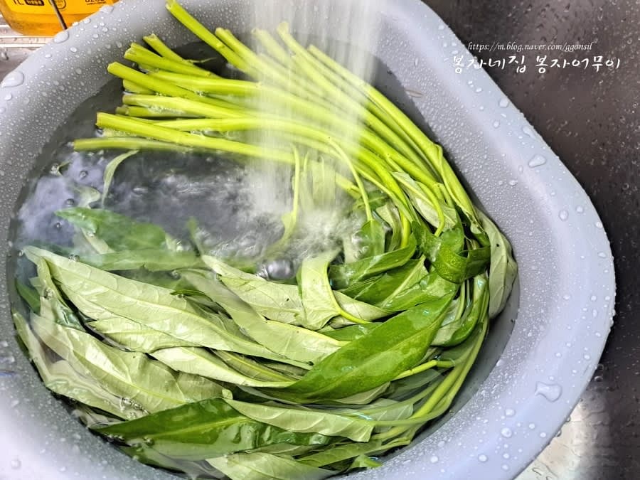 공심채 끝의 이물질을 제거하고 꼼꼼히 세척합니다.