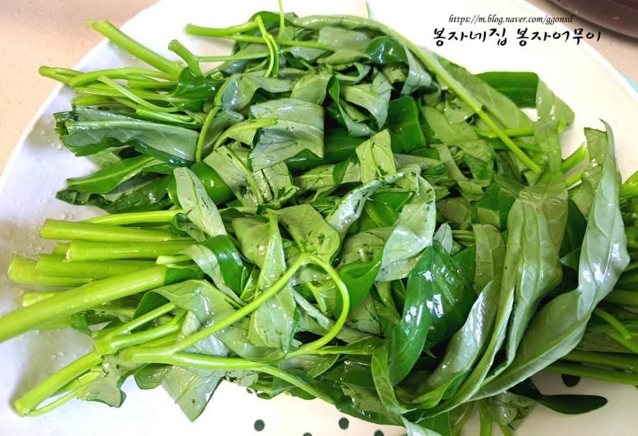 공심채의 물기를 완전히 제거하기 위해 물기를 말립니다.