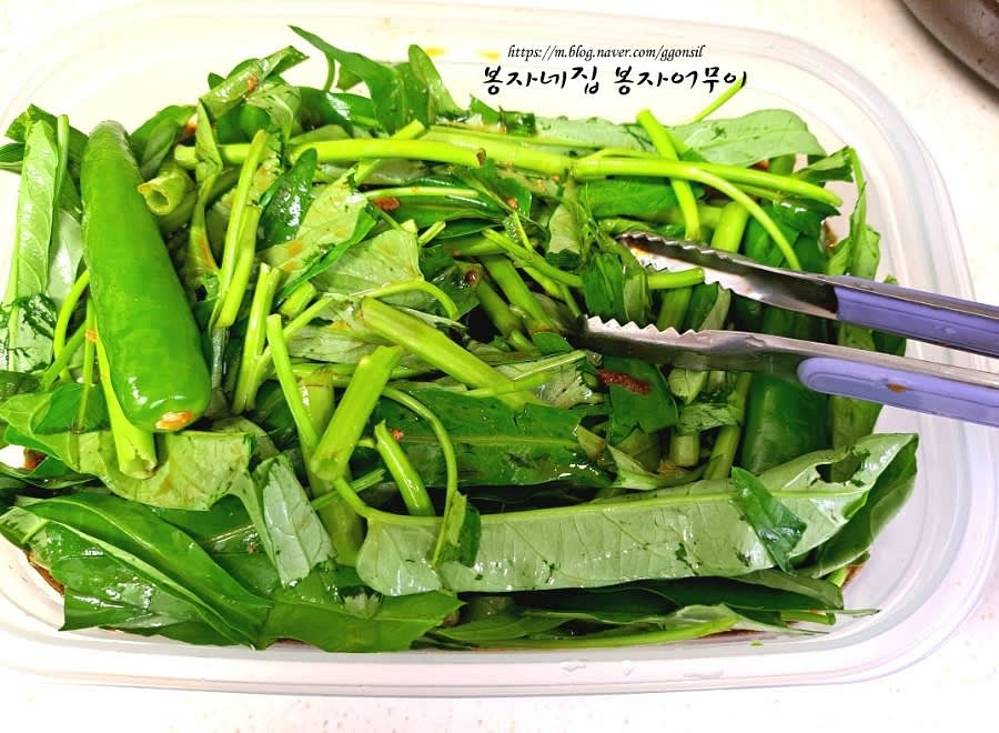 공심채와 청양고추를 소독된 용기에 넣습니다.