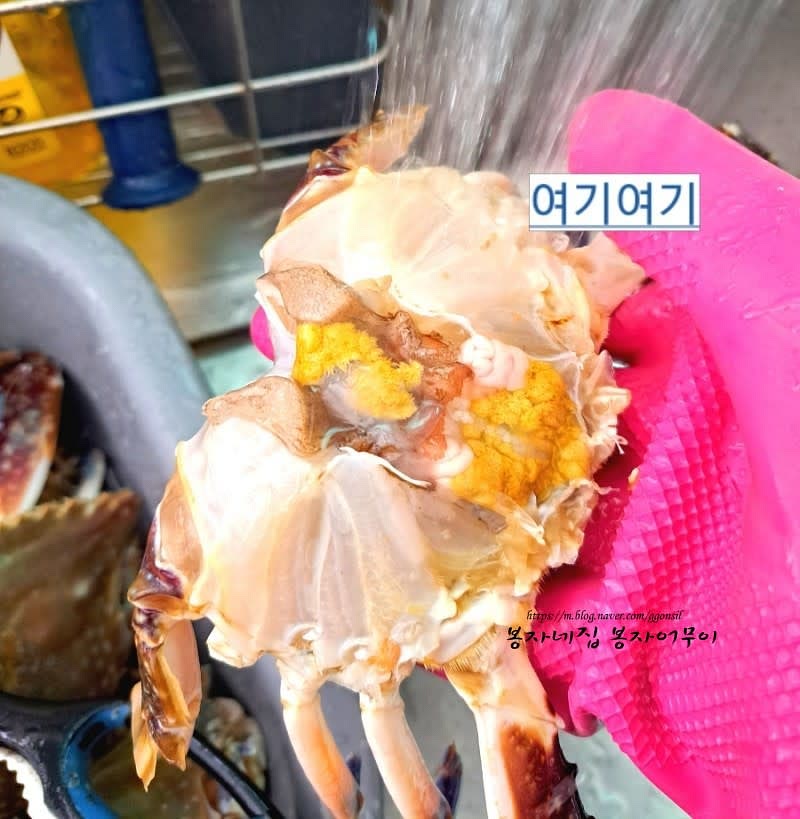 꽃게의 모래집과 내장을 제거하고 깨끗이 손질한 후 흐르는 물에 씻어 주세요.