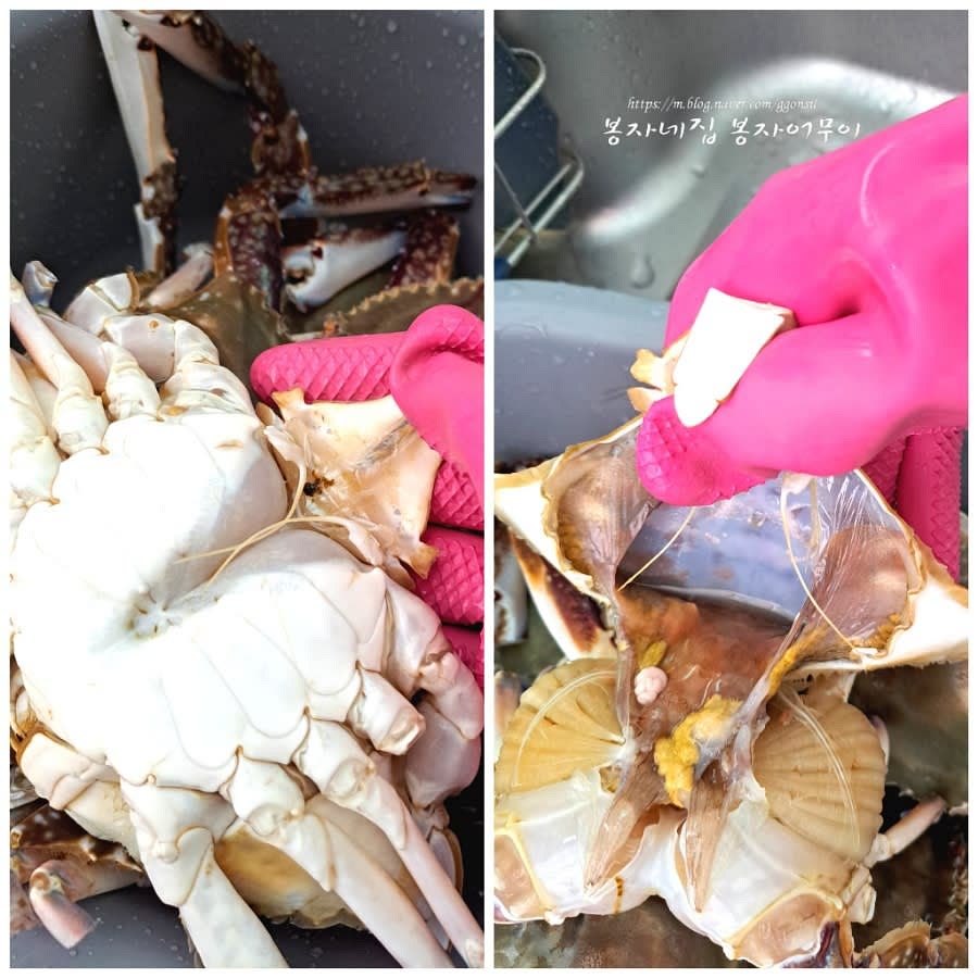 꽃게의 등딱지를 손으로 들어 올려 내장을 제거하고, 배 부분도 잘 세척해 줍니다.