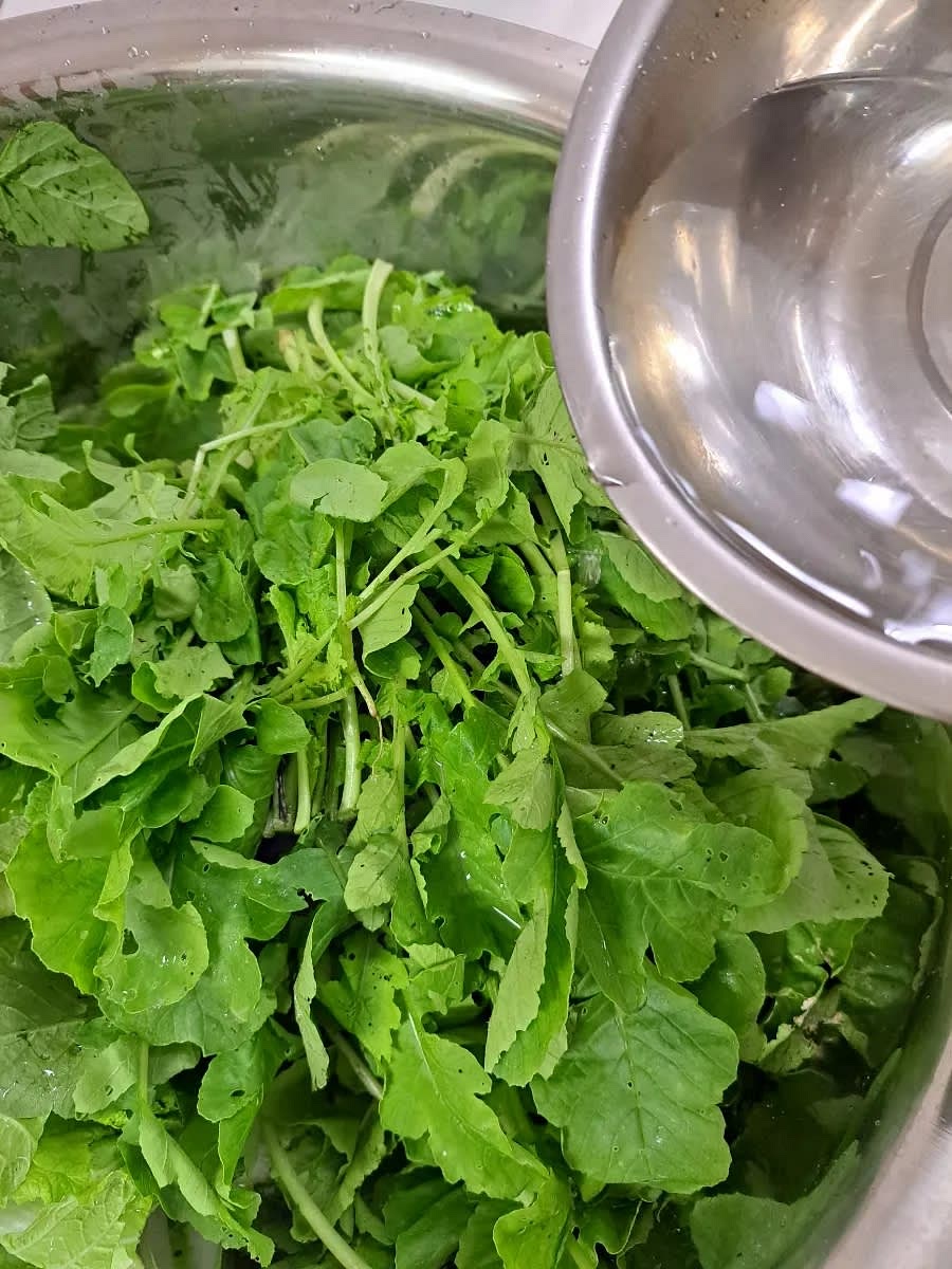 열무와 얼갈이를 준비하여 다듬어 주세요. 소금에 절이기 위해 물 한 바가지를 부어줍니다. 풋내 방지를 위해서 씻지 않고 물만 부어줍니다.