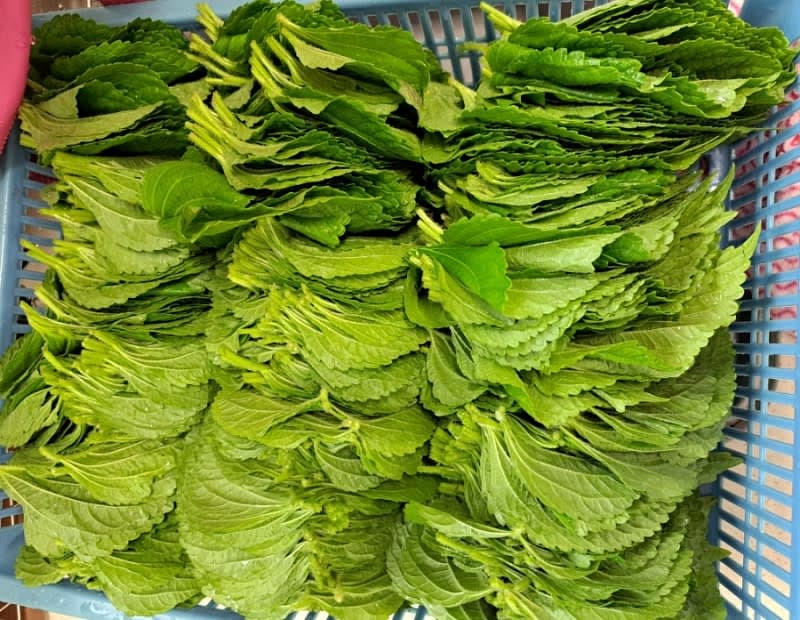 깻잎을 세척해 물기를 탕탕 털어둡니다.