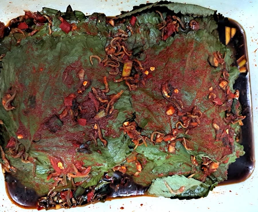 모든 깻잎에 양념을 바르면 전자레인지에 2분 돌리거나 찜 냄비에 1분 찌거나 냉장고에 이틀 보관하여 숙성시킵니다.