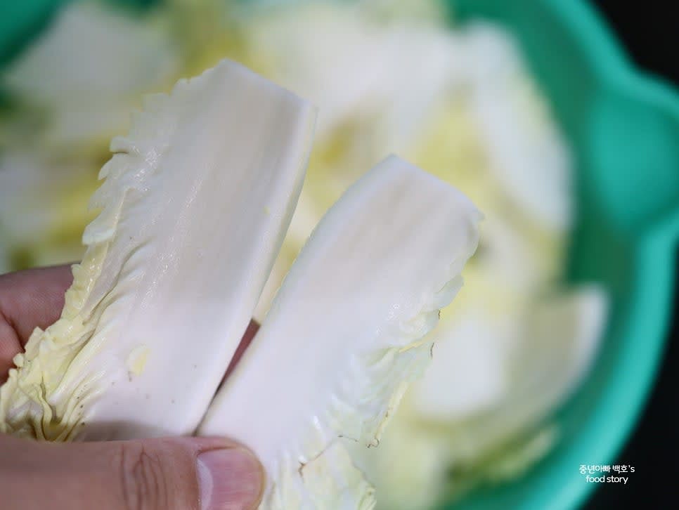 배추를 먹기 좋은 크기로 잘라줍니다.