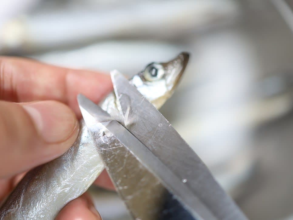 비린내를 줄이기 위해 열빙어의 지느러미를 전부 제거하고, 붙어 있는 지느러미도 깔끔히 잘라 주세요.