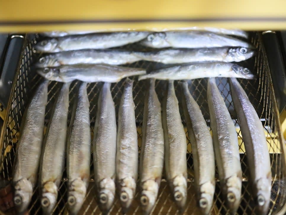 에어프라이어에 열빙어를 겹치지 않게 가지런히 놓아 주세요.