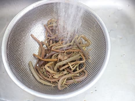 삶은 고사리를 흐르는 물에 깨끗이 헹구고 물기를 제거합니다.