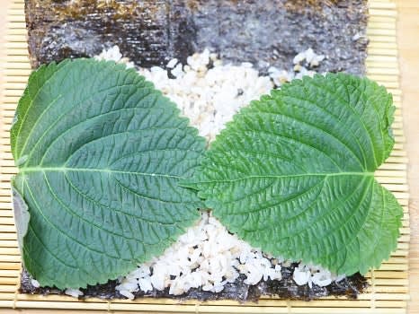 깻잎 2장을 둥근 부분이 양쪽 끝으로 가게 놓습니다.