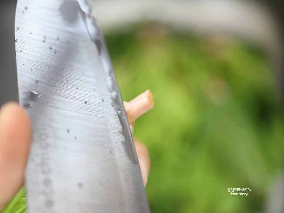 시금치를 깨끗이 세척한 후 밑동을 잘라 뿌리 부분을 정리합니다.