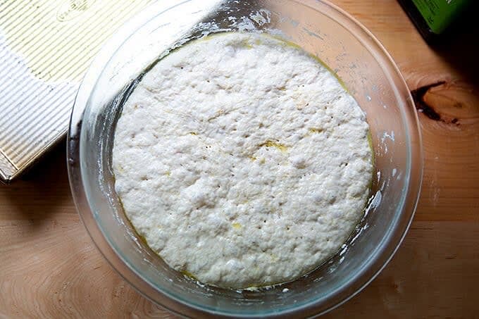 Using two forks, deflate the dough by releasing it from the sides of the bowl and pulling it toward the center. Rotate the bowl in quarter turns as you deflate, turning the mass into a rough ball.