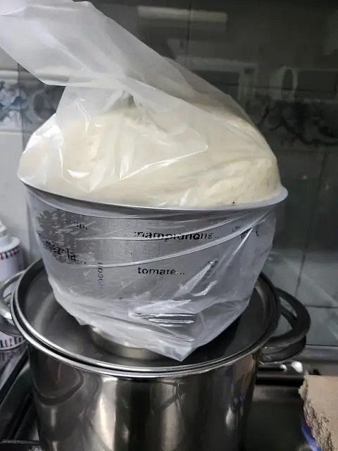 Untar el bollo de masa con más aceite para que la masa quede tierna y poner a leudar hasta que duplique su tamaño.