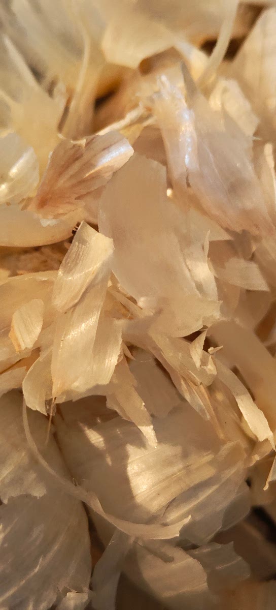 Peel the garlic cloves. Cut off the bottoms and any blemishes.