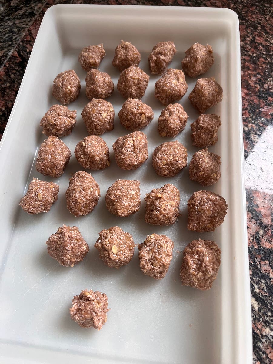 Con las manos húmedas armar bolitas y ponerlas en un tupper separadas. Mandar el tupper al frizzer